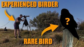 Experienced Birders SECRETS to finding RARE BIRDS [upl. by Inalial800]