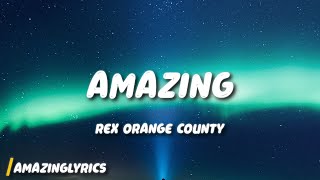 Rex Orange County  AMAZING Lyrics [upl. by Ulberto97]