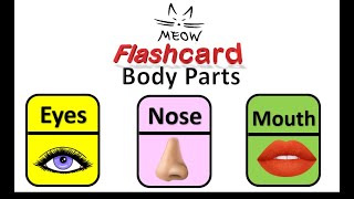 Meow Flashcards body parts [upl. by Llehsyar212]