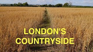 Londons Countryside  across fields from Epping to Harlow [upl. by Nylecaj]