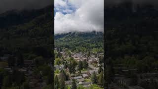 While most hatcheries are remote the Issaquah Salmon Hatchery is just 20 minutes from Seattle [upl. by Sayce]