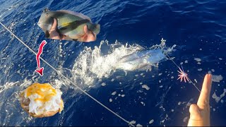 TUNA FISHING in HAWAII  NABETA Catch N Cook FiletOFish  Ep 32 [upl. by Dlanod]