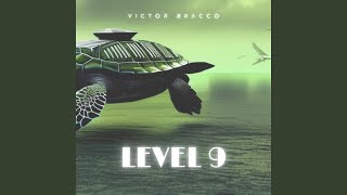 Level 9 [upl. by Orthman]