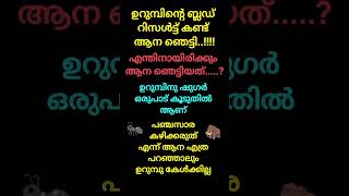 ഉറുമ്പും ആനയും 7556 [upl. by Niledam]