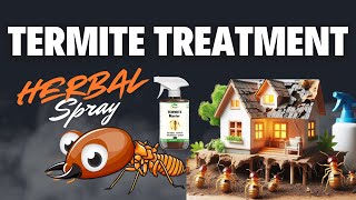 Termite Treatment Termite Control in Home Herbal Termite Killer Spray [upl. by Mccartan]