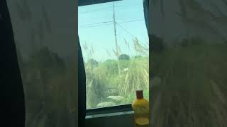 Train no15909 Awadh Assam express ll Traveling ll 3 ac economy travelingislife indianrailways [upl. by Attenhoj699]