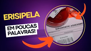 Erisipela  O que é e o que causa Quais são os sintomas e os tratamentos curiosidades [upl. by Codee]