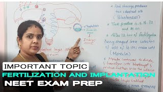 FERTILIZATION AND IMPLANTATIONpart1TamilNEETBIOLOGY [upl. by Hannala]