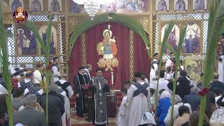 042824 The Divine Liturgy  Palm Sunday [upl. by Eaned]