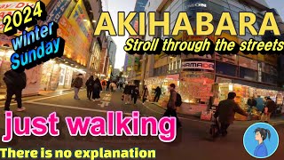 【Akihabara Walk】Stroll through the streets [upl. by Freeland902]