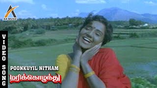 Poonkuyil Nitham Video Song  Marikozhundhu  Aishwarya  KS Chithra  Deva  AKMusic [upl. by Adehsar]