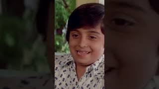 Amol Palekar Best Joke  Chitchor  Zarina Wahab comedy bollywoodmovies hindicomedy ytshorts [upl. by Enirehtac]