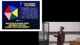 Professor Elspeth Garman delivers the 2010 Dorothy Hodgkin Memorial Lecture [upl. by Ardy699]