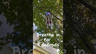 478 breathing rest breathe playonrepeat [upl. by Kinemod769]