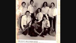 Ronnie Brumley and The Brunley Bros BandI Dont Need You [upl. by Akemahc]