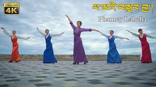 New Tibetan Song 2023 “Phamey Labcha” ཕ་མའི་བསླབ་བྱ་། By Lhamo Tso ལྷ་མོ་མཚོ། [upl. by Kandace583]