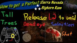 RDR2 How to get a Perfect Sierra Nevada Bighorn Ram [upl. by Llarret]