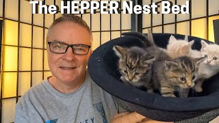 HEPPER CAT NEST BED Review Cats and Kittens Love It [upl. by Lolande]