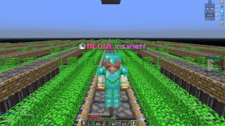 HT1 Kelp farm construction on donut SMP [upl. by Nnylasor]