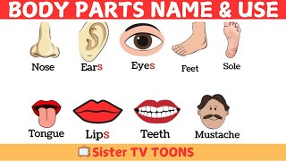 Body Parts Names amp Uses for Kids  Body Parts Name  Sister TV Toons [upl. by Arriet]