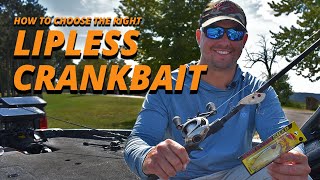 How to Choose the Right Lipless Crankbait [upl. by Mulderig552]