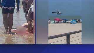 Several people attacked by same shark during July Fourth celebrations in Texas officials say [upl. by Karrie]