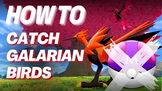 How to Catch Galarian Birds in Pokemon GO Without a Master Ball 🥎  2024 Update [upl. by Asirap355]