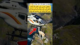 Helicopter pilot safe animal life shorts aviation trending [upl. by Aihsiym]