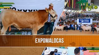 La Feria Agricola Ganadera y Equina mas Importante de la Orinoquia  TvAgro por Juan Gonzalo Angel [upl. by Ataga741]