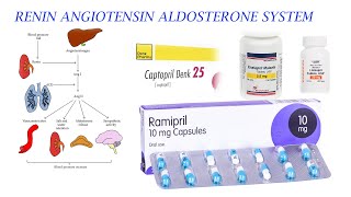 ACE INHIBITORS AND RAAS MECHANISM [upl. by Oine]