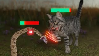 How Cats Broke The Game [upl. by Aninat]