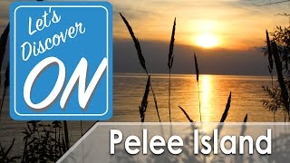 BIKE TOUR of PELEE ISLAND  Lets Discover ON [upl. by Naehs]