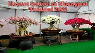 Flowers festival in Chiangmai Thailand 2022 [upl. by Strang]