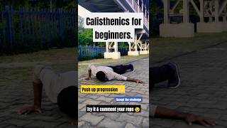 Push Up Progression  calisthenics for beginners pushups calisthenics shorts [upl. by Gard]