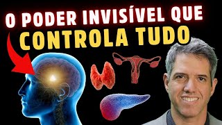 COMO DESBLOQUEAR a Função da GLÂNDULA DO CÉREBRO HIPOTÁLAMO COM 10 DICAS NATURAIS  Dr Alain Dutra [upl. by Huebner]