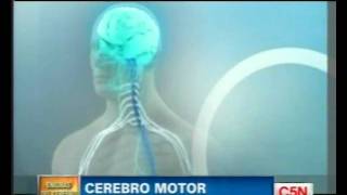 C5N  LOS ENIGMAS DEL CEREBRO CEREBRO MOTOR [upl. by Lydon724]