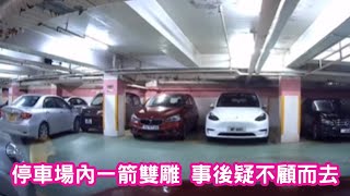 車CAM追蹤 大埔超級城 停車場內一箭雙雕 事後不顧而去 [upl. by Ardene432]