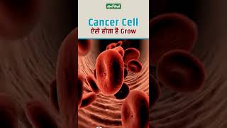 Know the Main Reason of Cancer Cell Grow  Biopsy Health Side Effects  Acharya Manish ji [upl. by Hayidah]