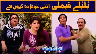 Bulbulay Family Mein Itna Khauff Kyun Hai 🤭😲 Khoobsurat  Bulbulay [upl. by Oivat56]