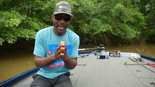 Lowe Stinger 188 Ultimate Aluminum Bass Boat  Walkthrough and Review [upl. by Franza74]