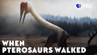 When Pterosaurs Walked [upl. by Gerlac]