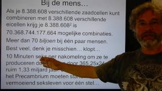 Biologie HV OB Variatie in nakomelingen bij de mens [upl. by Nalaf]