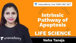 Intrinsic Pathway of Apoptosis  Life Science  Unacademy Live CSIR UGC NET  Neha Taneja [upl. by Xed]