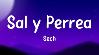 Sal y Perrea  Sech Letra 💰 [upl. by Alma746]