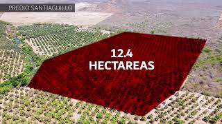 HUERTAS DE MANGO EN VENTA  ESCUINAPA  SINALOA [upl. by Regdirb]