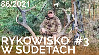 SUDECKA OSTOJA 862021 Deer Hunting Rykowisko polowanie na jelenie Wild jagen Chasse au cerf [upl. by Piderit971]