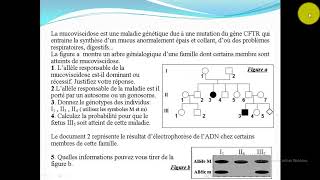 Exercice 1 la génétique humaine [upl. by Hite]