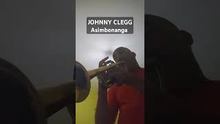 JOHNNY CLEGG Asimbonanga 1987 [upl. by Hibbert]