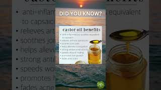 Health Benefits of Castor Oil [upl. by Reagan]