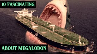 Discovering Megalodon 10 Intriguing Insights into the Colossal Predator shorts [upl. by Essilem]